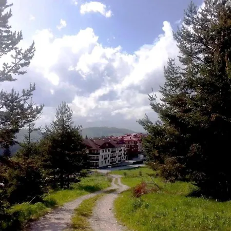 Apartment студио Panorama Mountain, до писта пампорово-стойките Stoykite