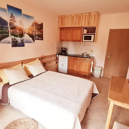 приветливо смарт студио, с изглед към снежанка и писта пампорово-стойките Apartman Sztojkite