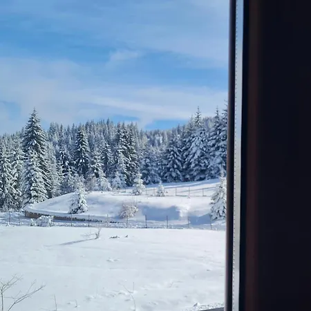 Apartment приветливо смарт студио, с изглед към снежанка и писта пампорово-стойките Stoykite