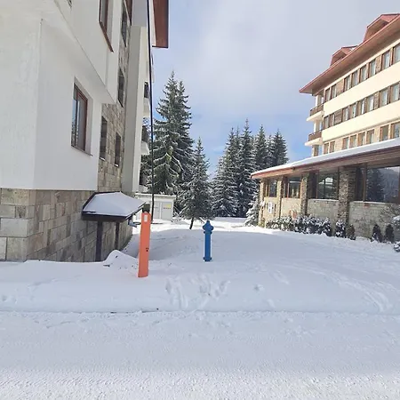 приветливо смарт студио, с изглед към снежанка и писта пампорово-стойките *