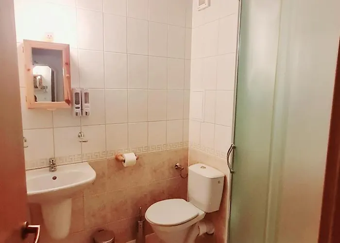 приветливо смарт студио, с изглед към снежанка и писта пампорово-стойките * Stoykite