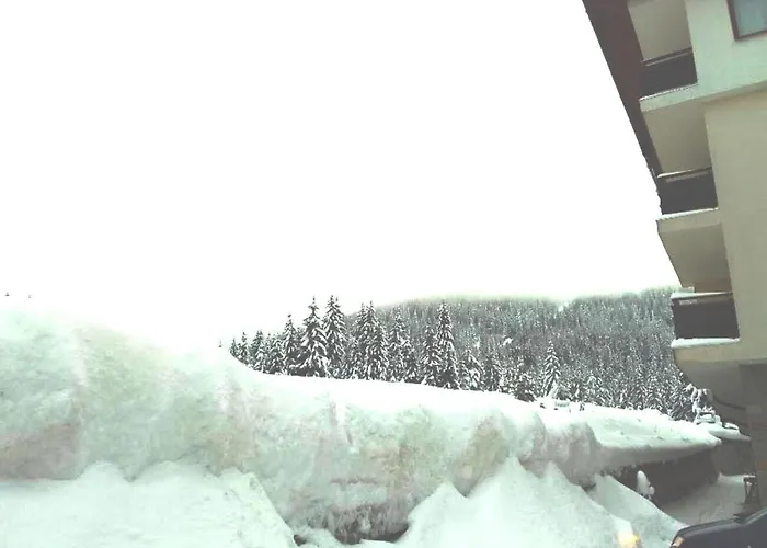 приветливо смарт студио, с изглед към снежанка и писта пампорово-стойките Apartment