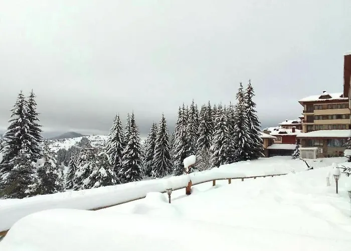 приветливо смарт студио, с изглед към снежанка и писта пампорово-стойките Apartment Stoykite