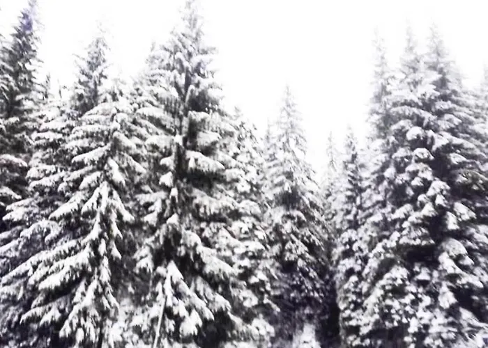 приветливо смарт студио, с изглед към снежанка и писта пампорово-стойките Apartment Stoykite