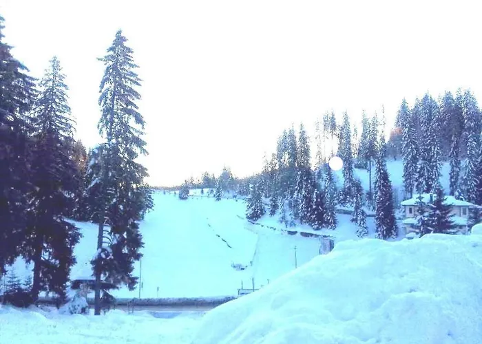 Apartment приветливо смарт студио, с изглед към снежанка и писта пампорово-стойките