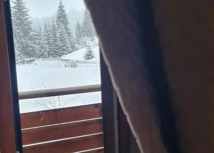 приветливо смарт студио, с изглед към снежанка и писта пампорово-стойките Apartment