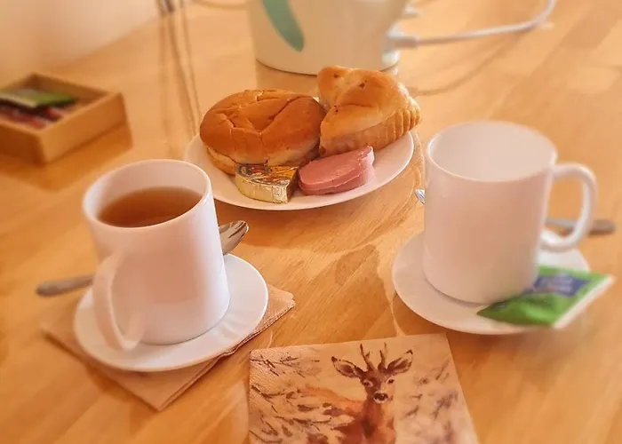 приветливо смарт студио, с изглед към снежанка и писта пампорово-стойките * Stoykite