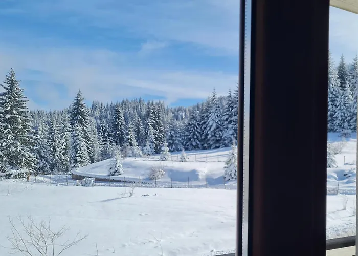 Apartment приветливо смарт студио, с изглед към снежанка и писта пампорово-стойките Stoykite