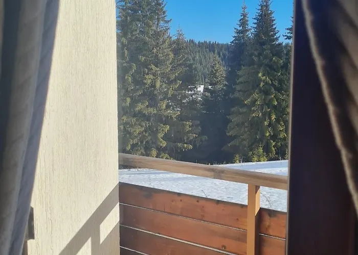 приветливо смарт студио, с изглед към снежанка и писта пампорово-стойките