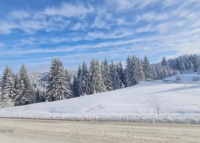 приветливо смарт студио, с изглед към снежанка и писта пампорово-стойките Apartment