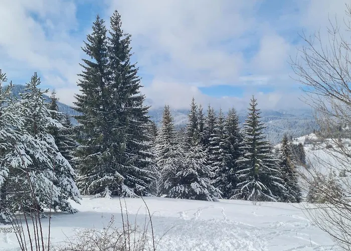 Apartment приветливо смарт студио, с изглед към снежанка и писта пампорово-стойките