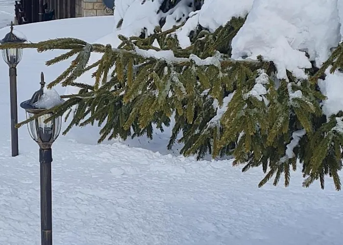 Apartment приветливо смарт студио, с изглед към снежанка и писта пампорово-стойките Stoykite
