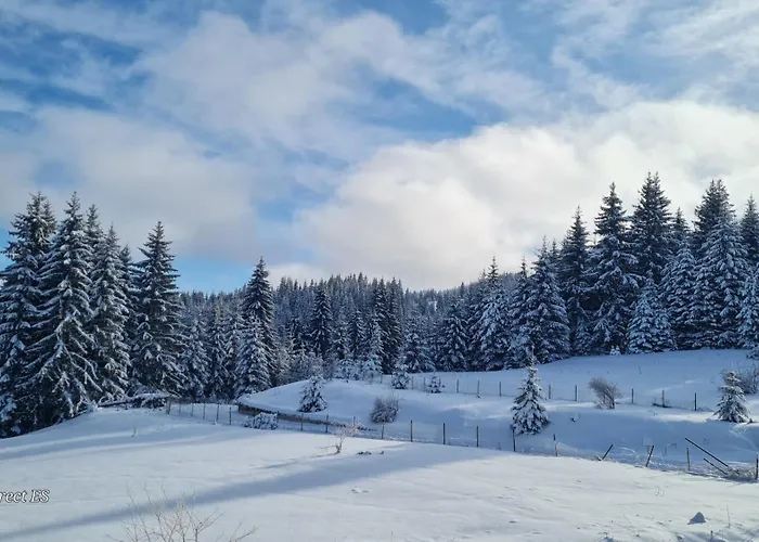 приветливо смарт студио, с изглед към снежанка и писта пампорово-стойките Apartment Stoykite