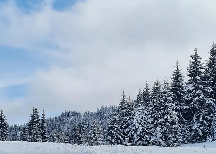 Apartment приветливо смарт студио, с изглед към снежанка и писта пампорово-стойките *